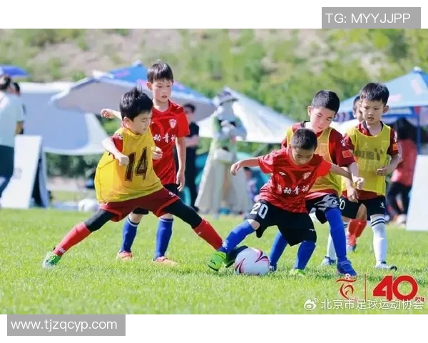 韩国足球明星的孩子们：继承父辈荣耀与梦想的未来之星们
