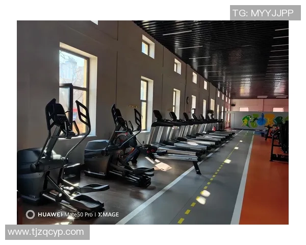 全新体育广场健身器材出售提升健身体验让健康生活触手可及